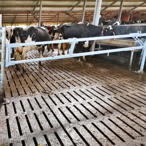 Dubbele slagboom uitschuifbaar en draaibaar sluithek melkveehouderij veehouderij koeien koe